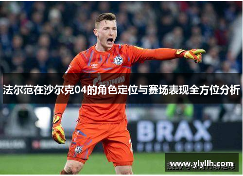 法尔范在沙尔克04的角色定位与赛场表现全方位分析